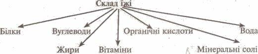 https://subject.com.ua/lesson/biology/9klas/9klas.files/image069.jpg