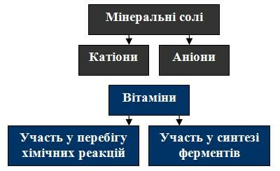 Screenshot_4