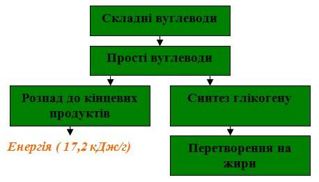 Screenshot_2