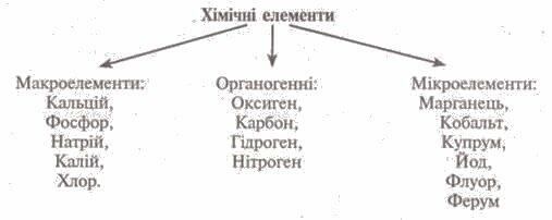 https://subject.com.ua/lesson/biology/9klas/9klas.files/image071.jpg