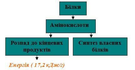 Screenshot_1