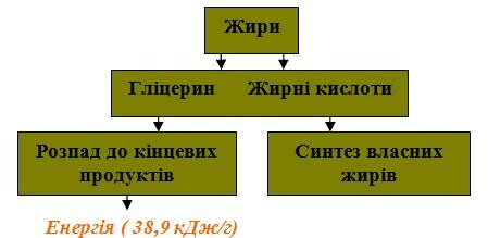 Screenshot_3