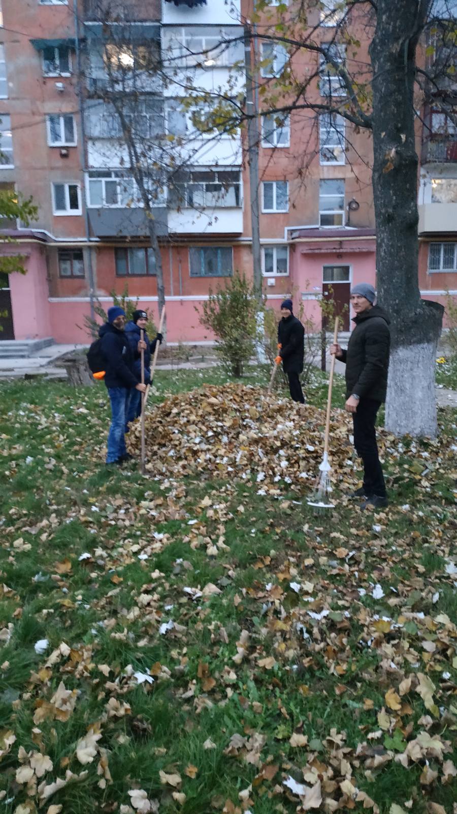 0200ce5h-24fb.jpg