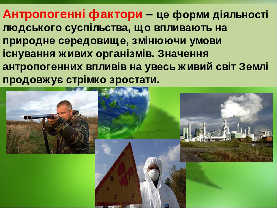 Презентація " Екологічні чинники"