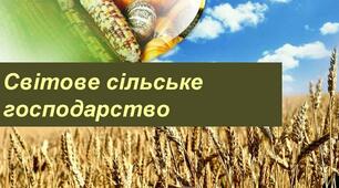 Сільське господарство світу. Рослинництво. Тваринництво.