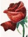 0200ch1c-c692.jpg