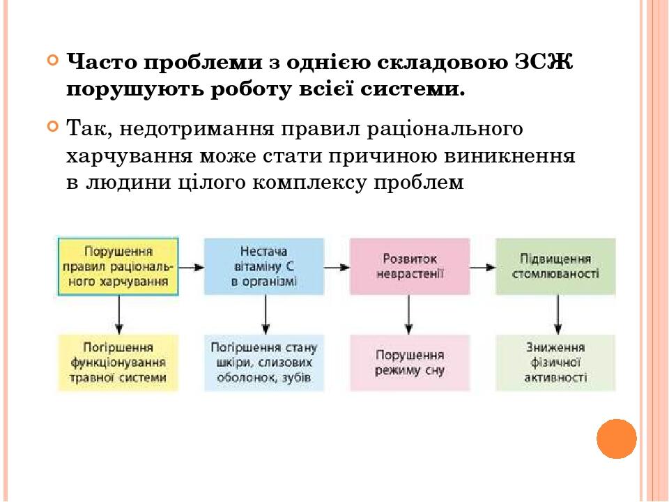 Часто проблеми з однією складовою ЗСЖ порушують роботу всієї системи. Так, недотримання правил раціонального харчування може стати причиною виникне...