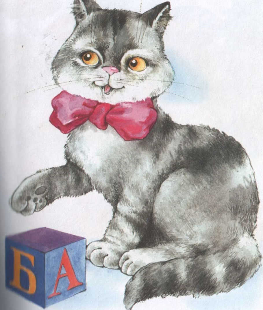 0200cjgv-7449-910x1070.png