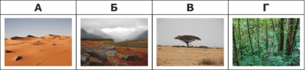 0200ckgo-763a.png