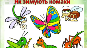 Презентація " Як зимують комахи"