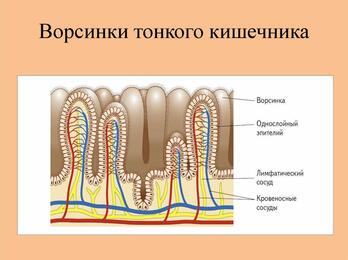 0200com4-3fb3-348x260.jpg