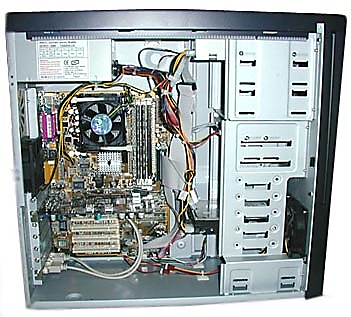 0200coxa-8246.png