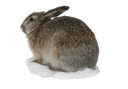 0200cpmc-6410-362x252.png