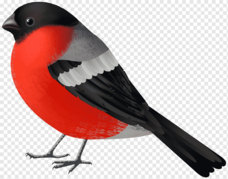 0200cq9f-a583-228x179.png