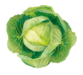 0200cs0t-45f5.png