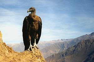 0200csuf-3ae4.jpg