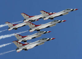 0200cv0g-bee6-267x193.jpg