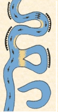 0200d058-4c34.png