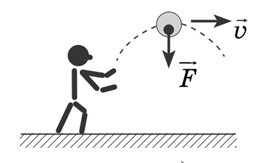 0200d06l-f717.png