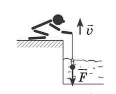 0200d06m-4056.png