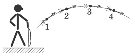 0200d06t-9491.png
