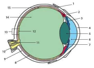 0200d2l6-c2b1-437x318.jpg