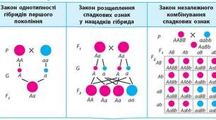 Самостійна робота( група ПМ-17)