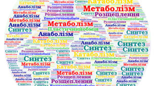 Клітинне дихання. Особливості обміну речовин.