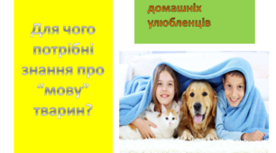 Презентація до предмету я досліджую світ "Мова тварин".