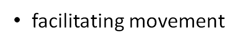 0200dl0t-cd71.png