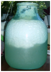 0200dmbe-ccab.png