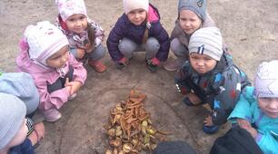 Викладання з природного матеріалу (Листя, гілочки)
