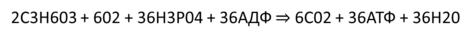 0200dmle-8bf6-471x38.png