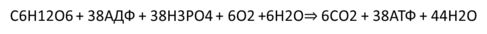 0200dmlh-4b64-487x34.png