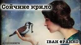 Тести за новелою І.Франка «Сойчине крило» 