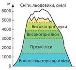 0200dnss-d3ad-157x144.jpg