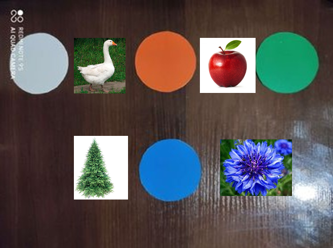 0200dpfo-4c26-658x491.png