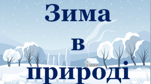 Презентація для уроків  курсу "Я досліджую світ" "Зима в природі",