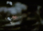 0200dq4x-4ef9.gif