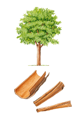 0200dq7c-e6f7-163x247.png