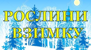 Презентація "Рослини взимку" для уроків курсу "Я досліджую світ".