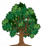 0200drjg-4375-148x164.png