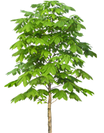 0200drjt-c898-149x190.png
