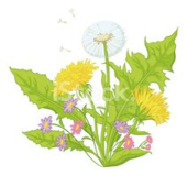 0200drki-8f73-171x160.png