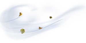 0200drm6-b4d2.png