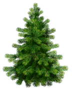 0200droq-f582-179x221.png