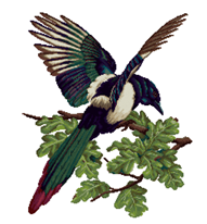 0200drqm-f6cb.png