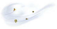 0200drqp-789d.png