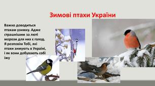 Зимуючі птахи України. Презентація.
