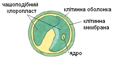 0200dsef-42b9.png